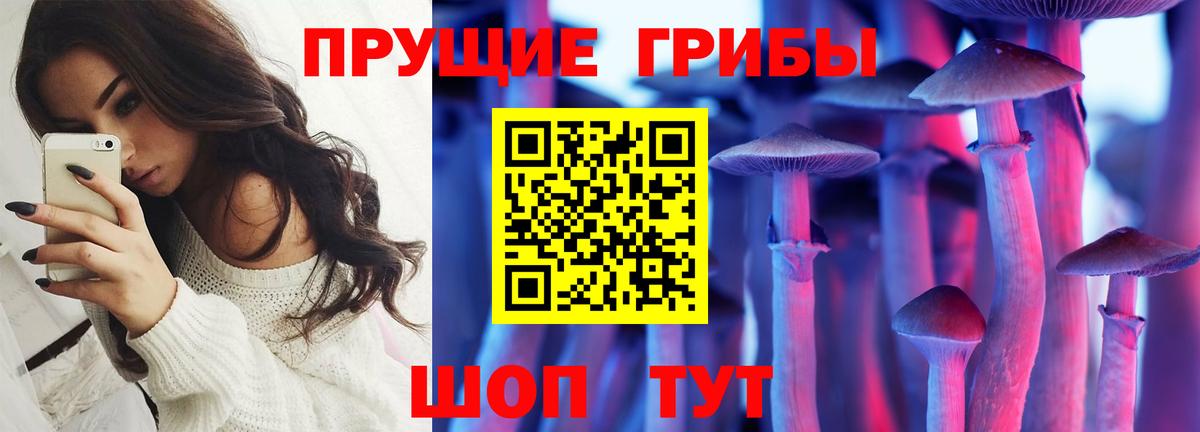 Новомосковск  Галлюциногенные грибы Psilocybine cubensis  Вход с VPN 